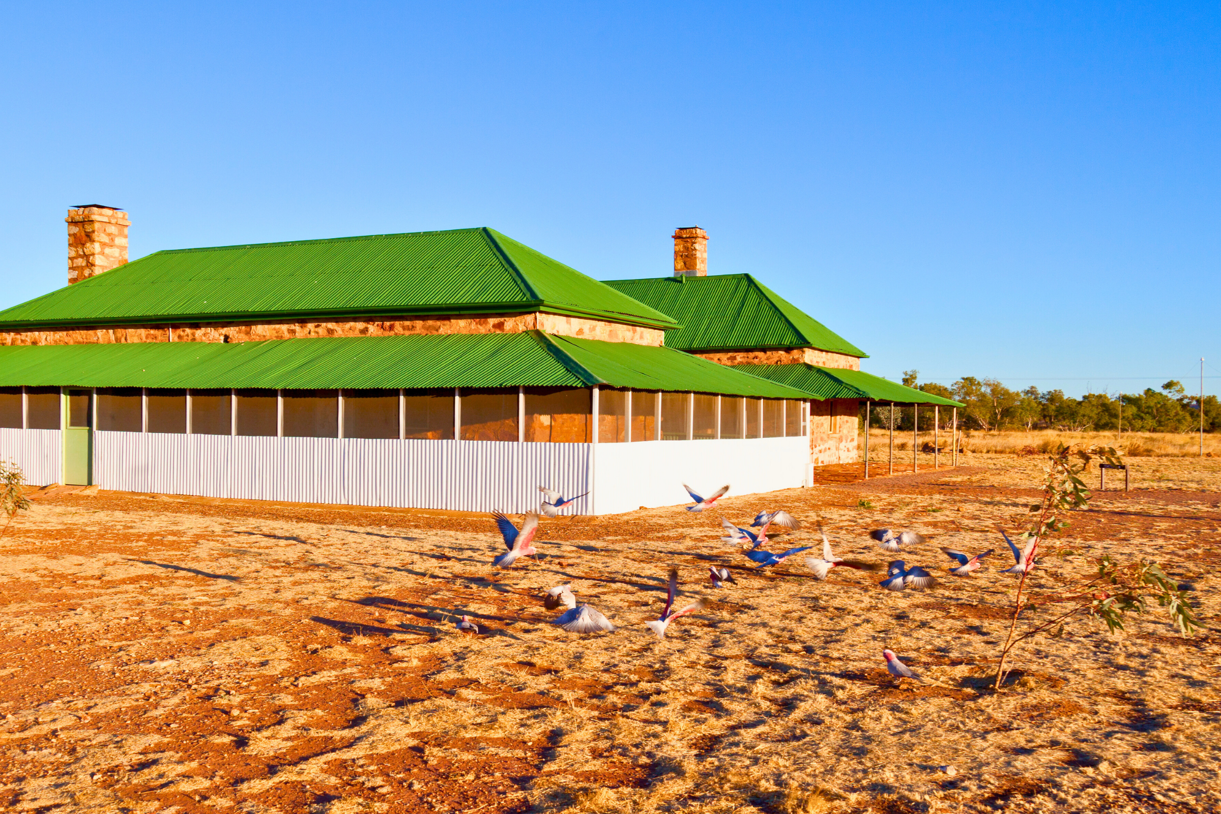 tennant creek, northern territory (3).webp